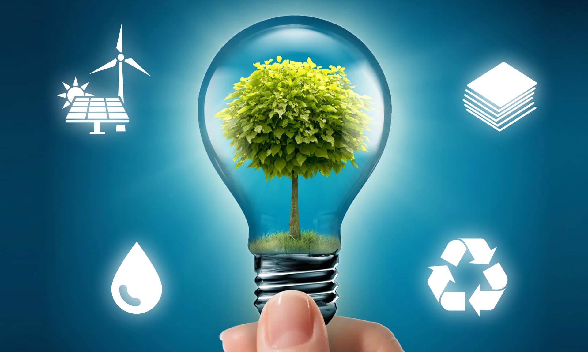 lampadina con all'interno albero verde e icone sostenibilità