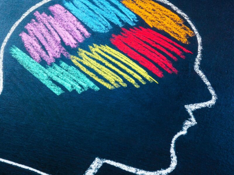 Disegno di un viso con le diverse aree del cervello colorate